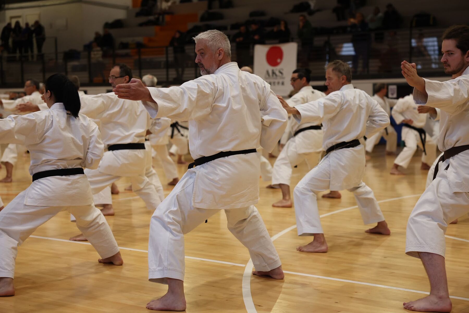 Gemeinsames Training in der Halle