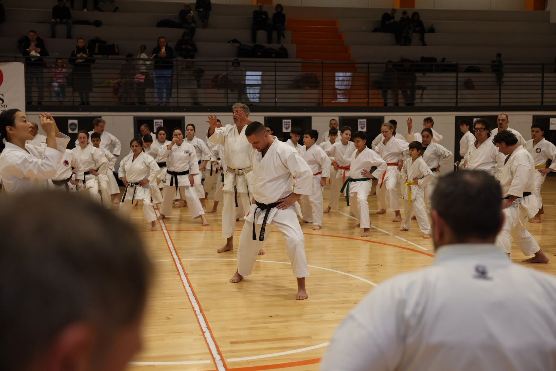 Grosser Karate-Lehrgang in der Halle